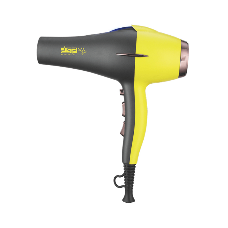 Πιστολάκι μαλλιών 1600W